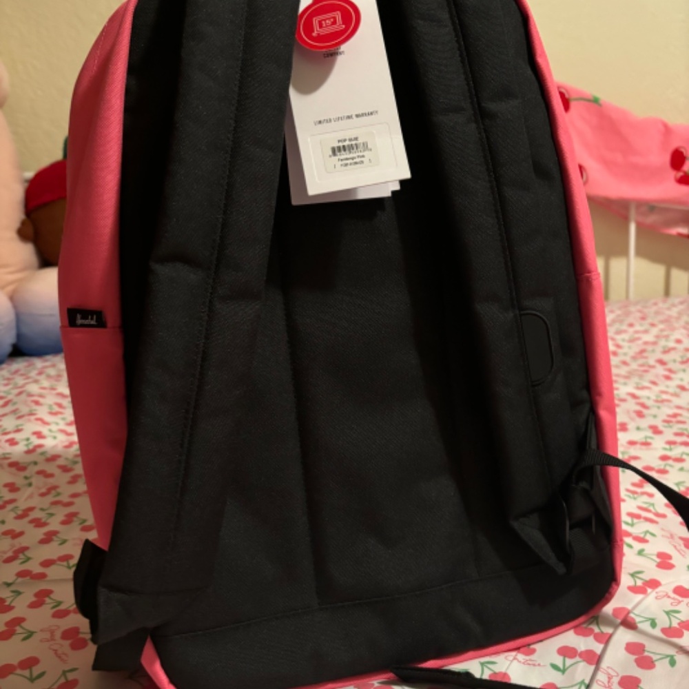 Backpack - Picture 2 of 6